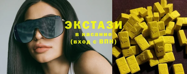 ECSTASY Богородицк